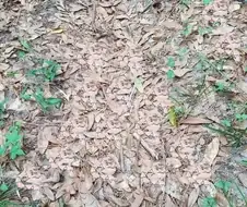 사람들이 뱀에 물리는 이유