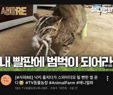 ???? : 큭큭큭, 얌전히 내 몸이 되어라