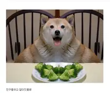 방귀 뀌고 해야할 말