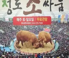 탈출한 늑대보고 늑대 크기 크다고 놀라는데 ㅋ