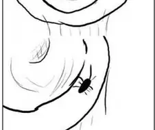 바퀴벌래 나오는 만화