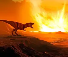 공룡멸망 장면의 암묵적인 규칙.jpg