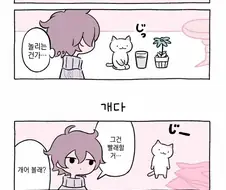 신기한 고양이 큐쨩.manhwa