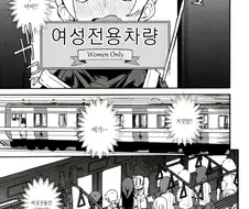 여성 전용 차량에 잘못 타는 만화