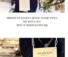 코카인 40kg를 주워먹은 곰의 최후 ㄷㄷ.jpg