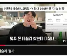테슬라 500만원 700만원 인상 했다고 욕하는거 웃김