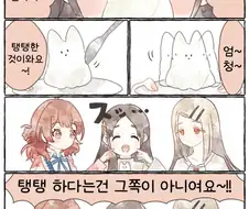 [@] 사랑스럽고 탱탱한 고양이 푸딩