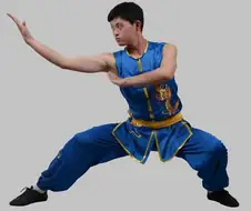 창작물에서 중국무술이 항상 강하게 나오는 이유가 있긴하다