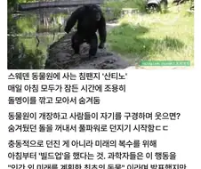미래를 계획 하는 동물