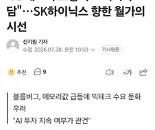 월가 "메모리 호황이랑 SK호실적이 부담인데?"