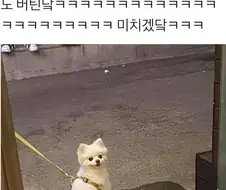 곱창집을 함부로 지나가면 안되는 이유.jpg