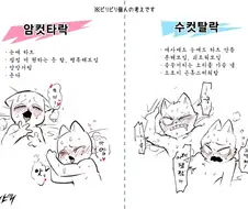 암컷타락과 수컷탈락의 차이점