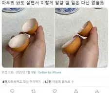 계란 이거 진짜일까