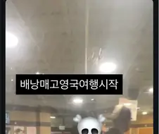 20대 때 유럽 여행 가보라는 이유