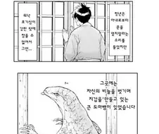은혜갚은 도마뱀