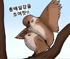 관리자 없지? 교미 야짤 투척