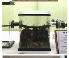 여왕의 죽음과 왕국의 멸망을 그대로 보여준 일본 동물원.jpg