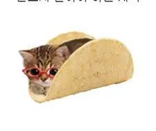 반드시 알아야 하는 지식
