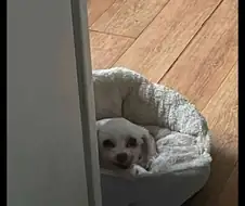 오싹오싹 조현병 의심...jpg