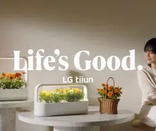 LG그룹 보면 어째 몰락한 일본 가전브랜드 따라가는 거 같아 불안하더라