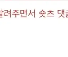노가다쇼츠 댓글 특징