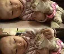 "응ㅡ 응앗 ㅡ 그만두어라."