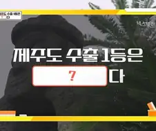 생각 외인 제주도 수출 1등 제품