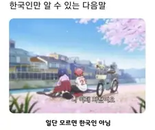 한국인만 알 수 있는 다음말