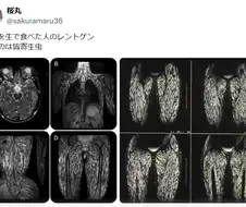 약혐) 고기는 구워먹어야 하는 이유