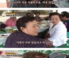 막걸리 마시는 외국인들 특.jpg