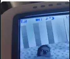 아기용 모니터를 새로 샀는데 아무래도 잘못 산 거 같아….jpg