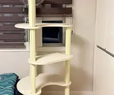 캣타워를 너무 일찍 산 사람