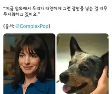 앤 해서웨이 "영화에서 개가 죽으면 19금 딱지 붙여야한다"