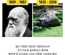 천국에서 좀 오래 기다려야했던 주인과 애완동물.jpg
