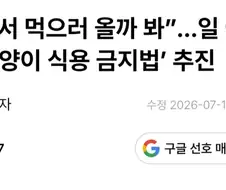 “한국서 먹으러 올까 봐”…일 여권, ‘개·고양이 식용 금지법’ 추진