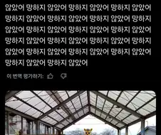 우̵리҈҉ 놀҉이̷҉공҉̴원̷ 정҈상҉҉영҈업̸합҉̵니҈̴다̴̵ . .. . .