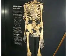 바닷속에서 500년만에 발견된 배.jpg