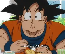 드래곤볼) 다소 상처받은 비루스