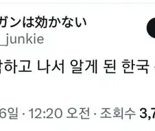 트릭컬) 트릭컬 때문에 새롭게 알게된 한국 문학