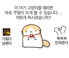 이 아기 고양이를 때리면 바로 주말이 오게 할 수 있습니다.