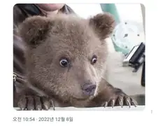 사람들이 회사에 일찍 출근하게 되는 이유.jpg