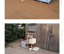 공사장에 고양이가 돌아다녀 화난 아재들