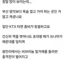 강한자만 살아남는 부산 특