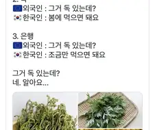 ???: 한국아 그거 독있는데?