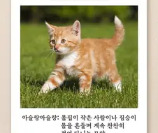의외로 귀엽다는 단어.jpg