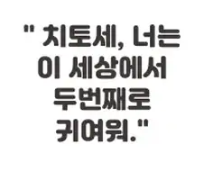 이걸로 밥 사무라이~