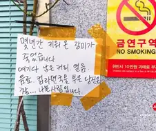 몇 년간 키워온 장미가 죽은 이유...