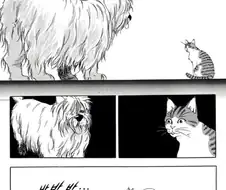 개와 고양이 만화