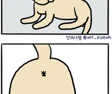 고환이 부풀어 오른 강아지.manhwa