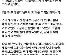인간의 선의로 포장된 사악한 행위